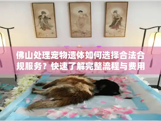 佛山处理宠物遗体如何选择合法合规服务？快速了解完整流程与费用