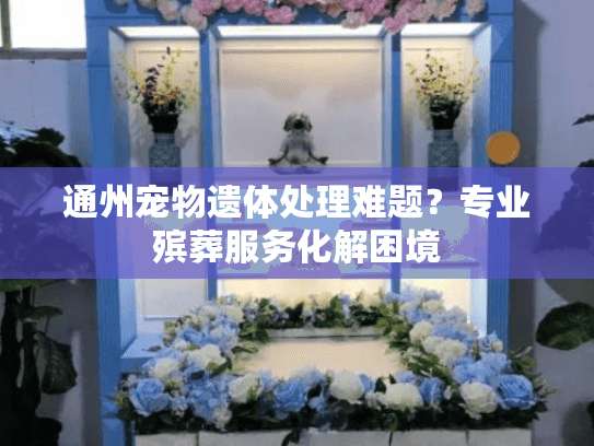 通州宠物遗体处理难题？专业殡葬服务化解困境