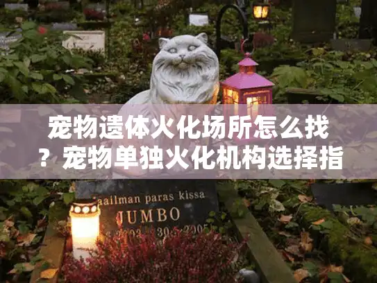 宠物遗体火化场所怎么找？宠物单独火化机构选择指南与后续安排