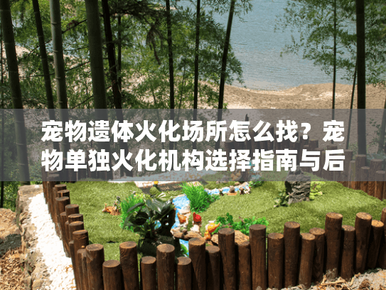 宠物遗体火化场所怎么找？宠物单独火化机构选择指南与后续安排