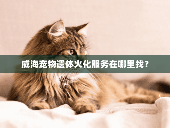 威海宠物遗体火化服务在哪里找? 威海宠物遗体火化服务在哪里找?