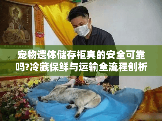 宠物遗体储存柜真的安全可靠吗?冷藏保鲜与运输全流程剖析 宠物遗体储存柜真的安全可靠吗?冷藏保鲜与运输全流程剖析