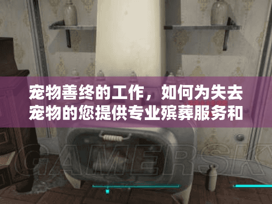 宠物善终的工作，如何为失去宠物的您提供专业殡葬服务和情感安慰？