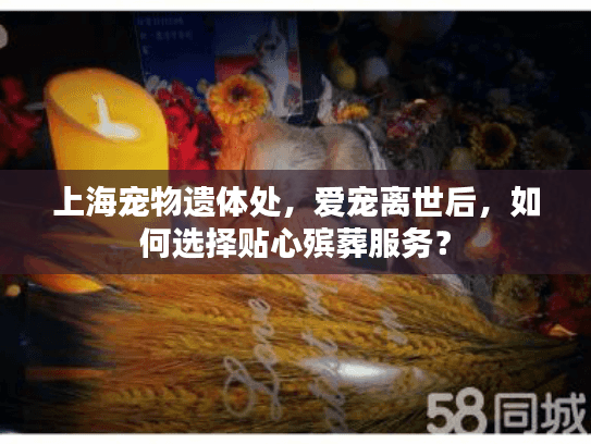 上海宠物遗体处，爱宠离世后，如何选择贴心殡葬服务？