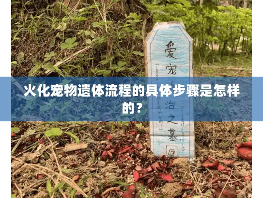 火化宠物遗体流程的具体步骤是怎样的？