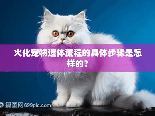 火化宠物遗体流程的具体步骤是怎样的？