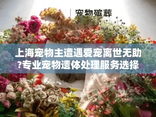 上海宠物主遭遇爱宠离世无助?专业宠物遗体处理服务选择指南