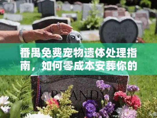 番禺免费宠物遗体处理指南，如何零成本安葬你的爱宠？