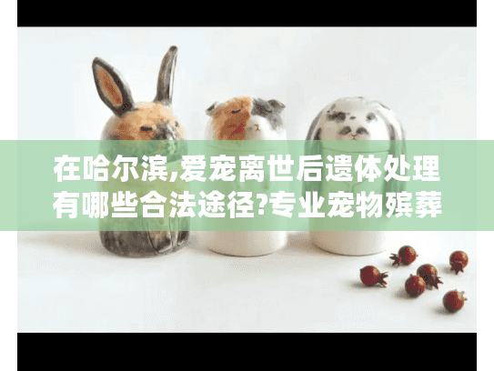 在哈尔滨,爱宠离世后遗体处理有哪些合法途径?专业宠物殡葬指南 在哈尔滨,爱宠离世后遗体处理有哪些合法途径?专业宠物殡葬指南