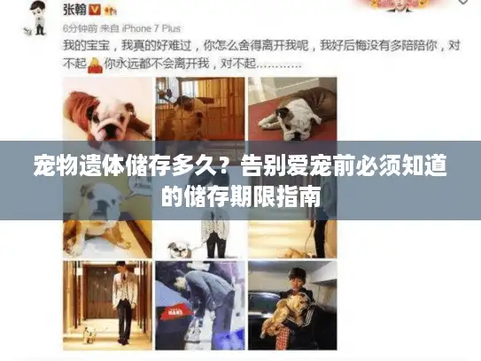 宠物遗体储存多久？告别爱宠前必须知道的储存期限指南