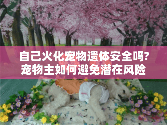 自己火化宠物遗体安全吗?宠物主如何避免潜在风险