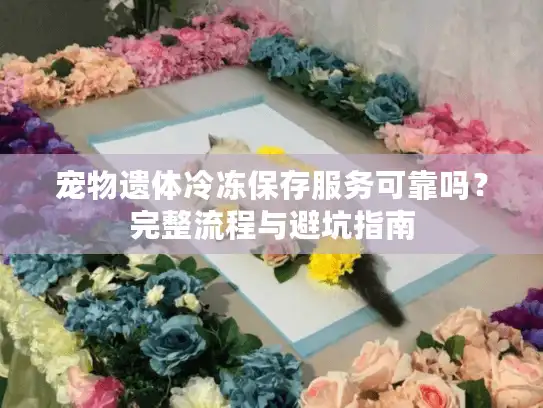 宠物遗体冷冻保存服务可靠吗？完整流程与避坑指南