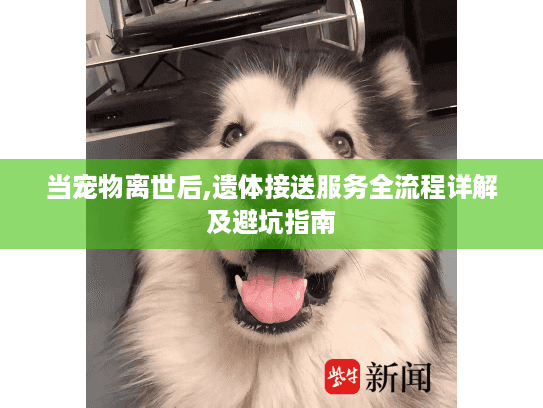 当宠物离世后,遗体接送服务全流程详解及避坑指南 当宠物离世后,遗体接送服务全流程详解及避坑指南