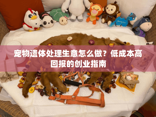 宠物遗体处理生意怎么做？低成本高回报的创业指南