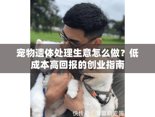 宠物遗体处理生意怎么做？低成本高回报的创业指南