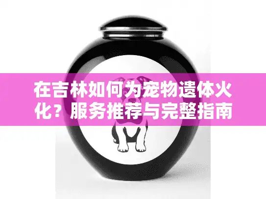 在吉林如何为宠物遗体火化？服务推荐与完整指南
