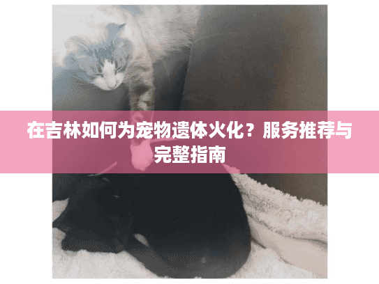 在吉林如何为宠物遗体火化？服务推荐与完整指南