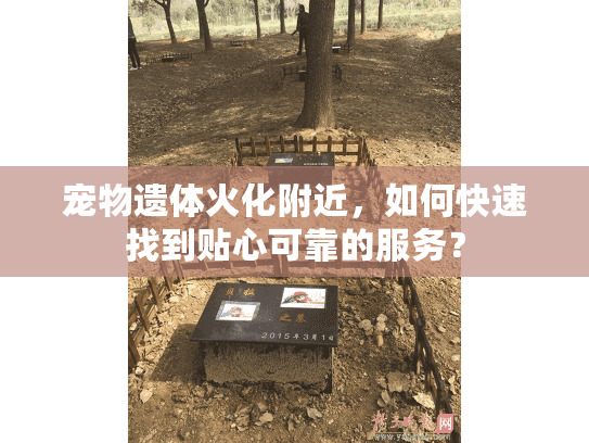 宠物遗体火化附近，如何快速找到贴心可靠的服务？