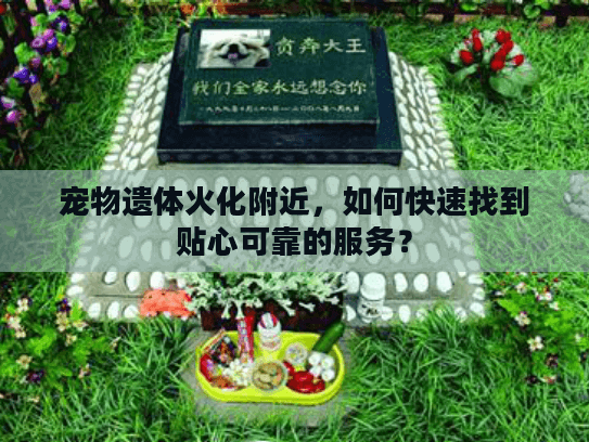 宠物遗体火化附近，如何快速找到贴心可靠的服务？