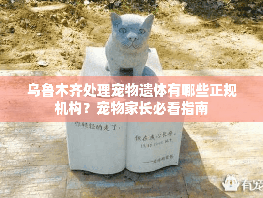 乌鲁木齐处理宠物遗体有哪些正规机构?宠物家长必看指南 乌鲁木齐处理宠物遗体有哪些正规机构?宠物家长必看指南
