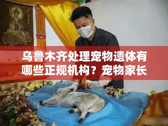 乌鲁木齐处理宠物遗体有哪些正规机构?宠物家长必看指南 乌鲁木齐处理宠物遗体有哪些正规机构?宠物家长必看指南