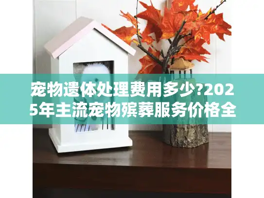 宠物遗体处理费用多少?2025年主流宠物殡葬服务价格全解析