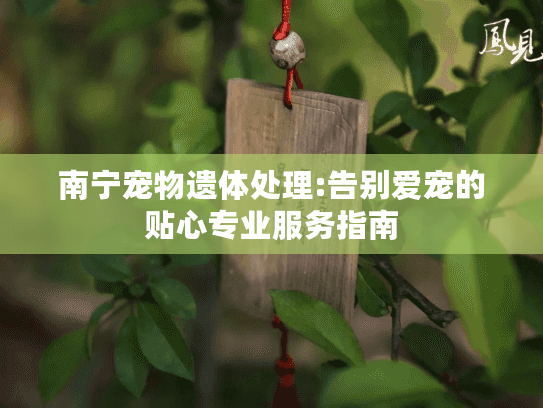 南宁宠物遗体处理:告别爱宠的贴心专业服务指南