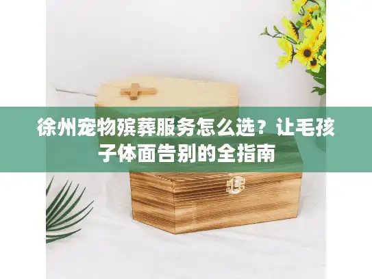 徐州宠物殡葬服务怎么选？让毛孩子体面告别的全指南