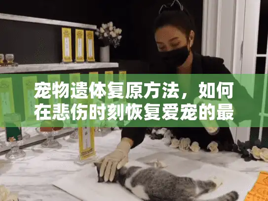 宠物遗体复原方法，如何在悲伤时刻恢复爱宠的最后容颜