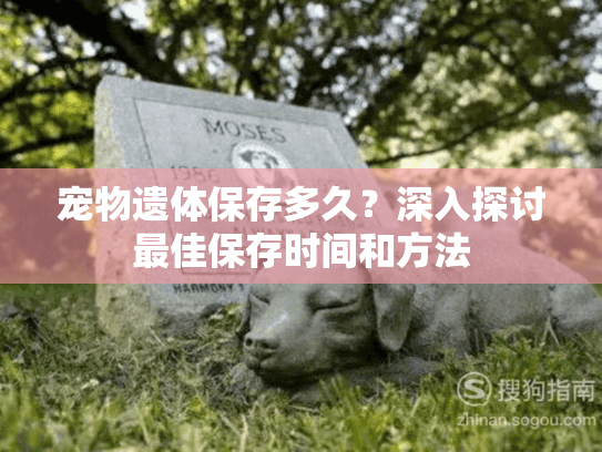 宠物遗体保存多久？深入探讨最佳保存时间和方法