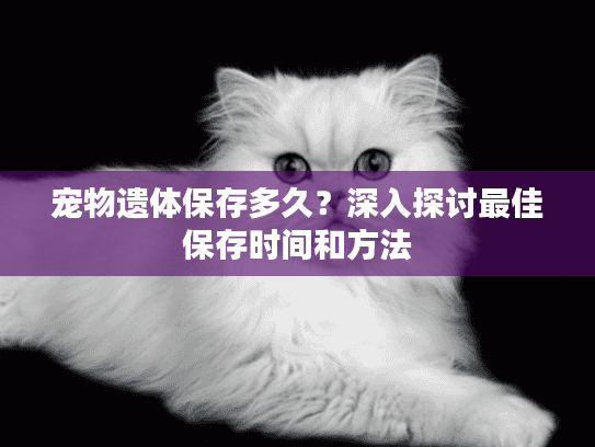 宠物遗体保存多久？深入探讨最佳保存时间和方法
