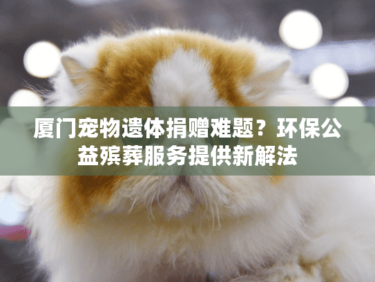厦门宠物遗体捐赠难题？环保公益殡葬服务提供新解法