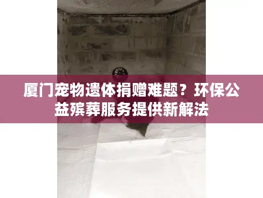 厦门宠物遗体捐赠难题？环保公益殡葬服务提供新解法