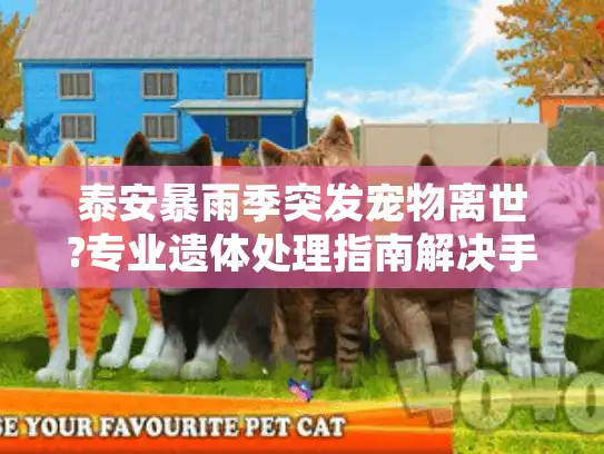 泰安暴雨季突发宠物离世?专业遗体处理指南解决手足无措