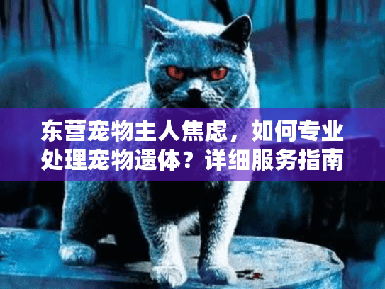 东营宠物主人焦虑，如何专业处理宠物遗体？详细服务指南