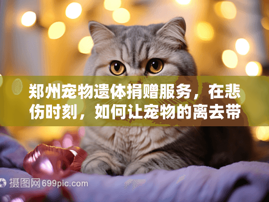 郑州宠物遗体捐赠服务，在悲伤时刻，如何让宠物的离去带来新希望？