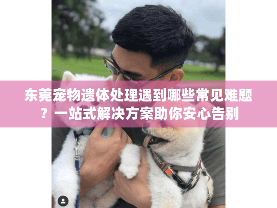 东莞宠物遗体处理遇到哪些常见难题？一站式解决方案助你安心告别