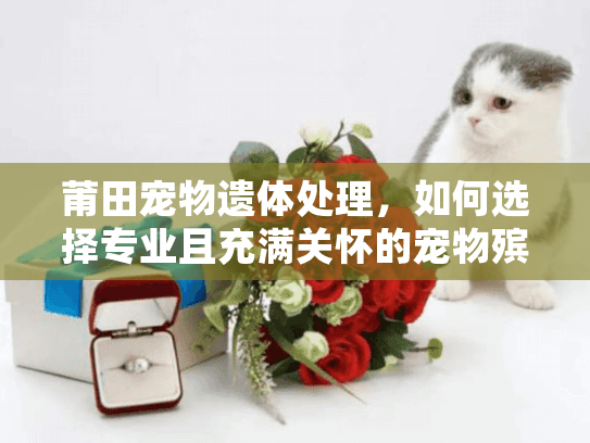莆田宠物遗体处理，如何选择专业且充满关怀的宠物殡葬服务？