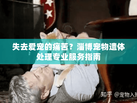 失去爱宠的痛苦？淄博宠物遗体处理专业服务指南