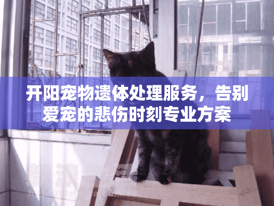 开阳宠物遗体处理服务，告别爱宠的悲伤时刻专业方案