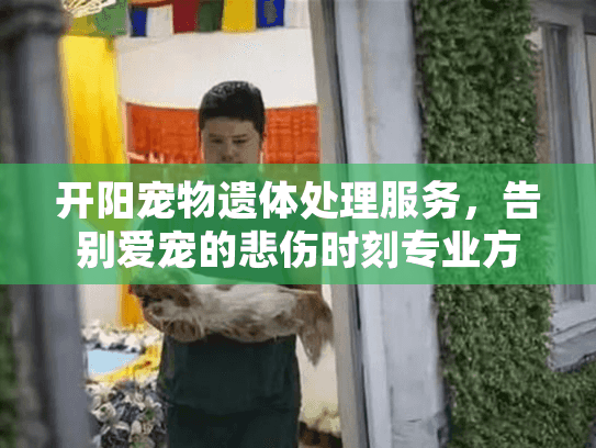 开阳宠物遗体处理服务，告别爱宠的悲伤时刻专业方案