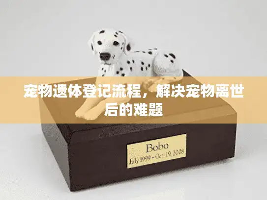 宠物遗体登记流程，解决宠物离世后的难题