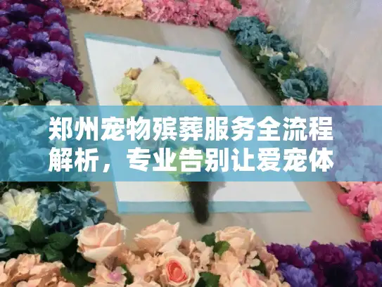 郑州宠物殡葬服务全流程解析,专业告别让爱宠体面离开 郑州宠物殡葬服务全流程解析,专业告别让爱宠体面离开