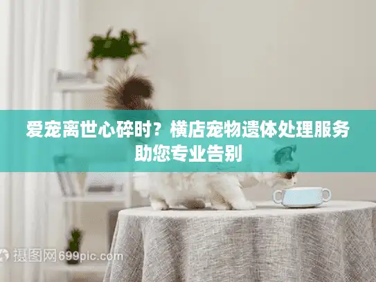爱宠离世心碎时?横店宠物遗体处理服务助您专业告别 爱宠离世心碎时?横店宠物遗体处理服务助您专业告别
