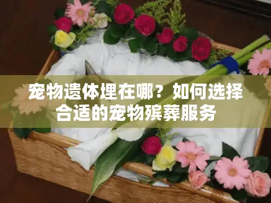 宠物遗体埋在哪?如何选择合适的宠物殡葬服务 宠物遗体埋在哪?如何选择合适的宠物殡葬服务