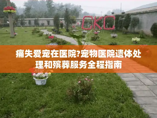 痛失爱宠在医院?宠物医院遗体处理和殡葬服务全程指南