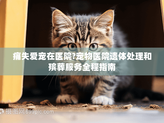 痛失爱宠在医院?宠物医院遗体处理和殡葬服务全程指南
