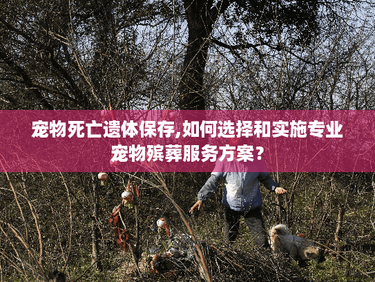 宠物死亡遗体保存,如何选择和实施专业宠物殡葬服务方案？