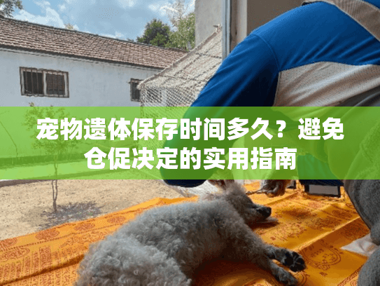 宠物遗体保存时间多久？避免仓促决定的实用指南