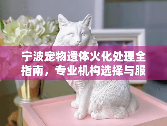 宁波宠物遗体火化处理全指南，专业机构选择与服务细节解析